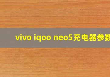 vivo iqoo neo5充电器参数